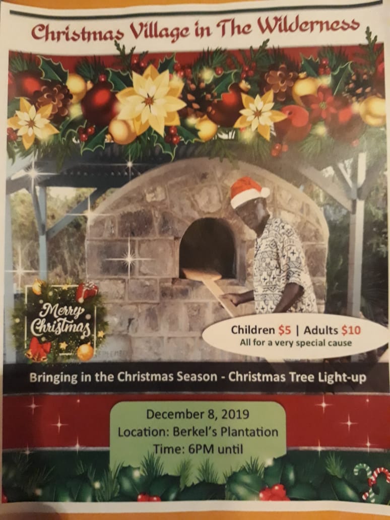 Christmas Tree Lighting